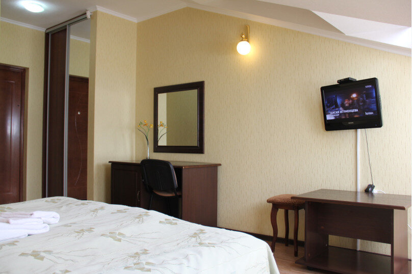 Гостиница Аледо Сочи-100