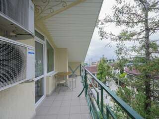 Гостиница Аледо Сочи Двухместный номер Делюкс с 1 кроватью или 2 отдельными кроватями и балконом-1