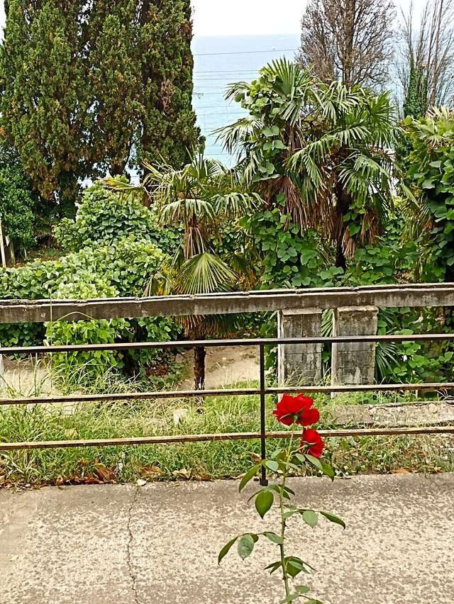 Гостиница Аледо Сочи-136