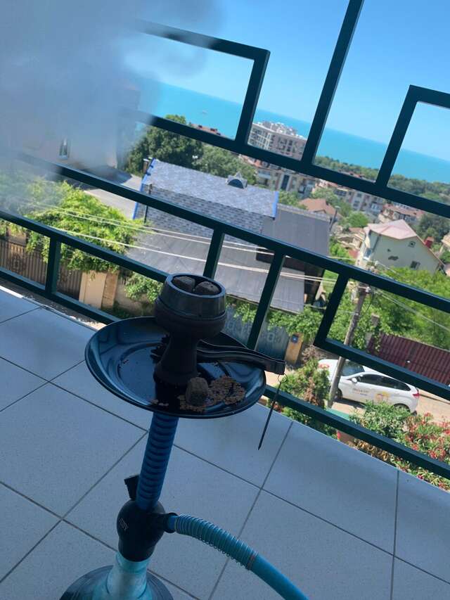 Гостиница Аледо Сочи-139