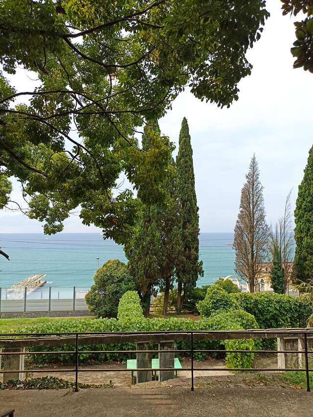 Гостиница Аледо Сочи-140